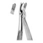Extracting Forceps
